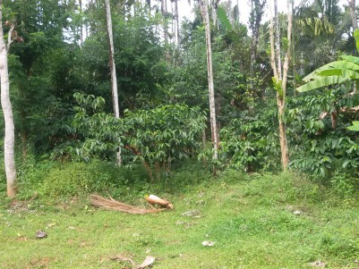 2  Acres of Agricultural land for sale at Sultan Bathery, Wayanad.
