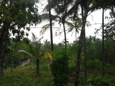 14 Cent Commercial cum Residential Land for sale at Thottada, Kannur.