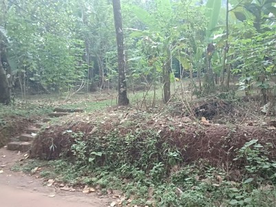 13.5 cent Residential land for sale at Chala, Kannur
