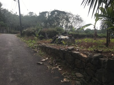 7 Cent Residential Land for Sale at Near Mulanthururthy,Ernakulam