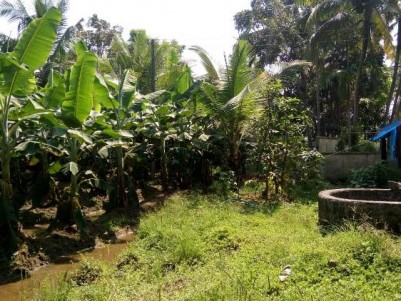 Plain Land for Sale at Kuttipuzha, Kunnukara, Ernakulam.