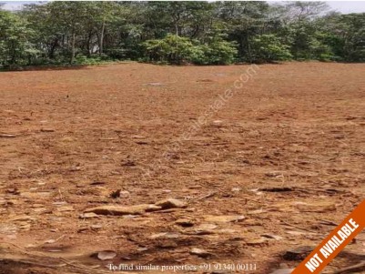 3.35 Acres of Land with Rubber Trees and Pineapple for Sale Near Nedumbasserry Airport, Angamaly.