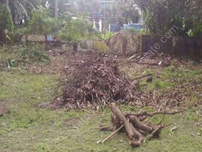 Residential Land for Immediate Sale at Near Companypadi, Aluva.