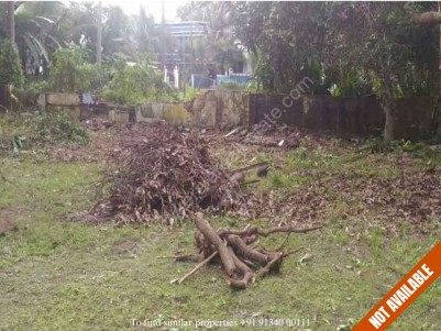 Residential Land for Immediate Sale at Near Companypadi, Aluva.