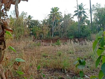 5 Acre Land for Sale at Palakkad