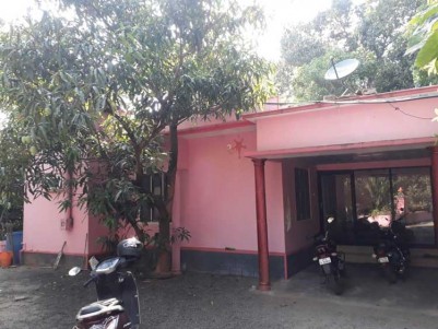 3.25 Acer Plantation with 4 BHK House for Sale at Idukki