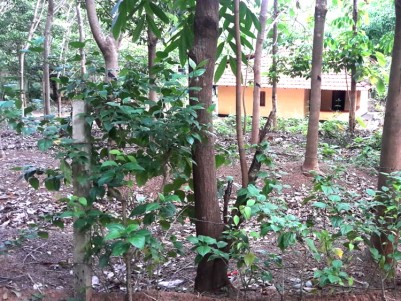 34 Cents of land with old house for sale at  Near Nilambur Malappuram