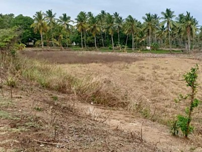  50 Cents of Land for Sale at Palakkad, Elappully