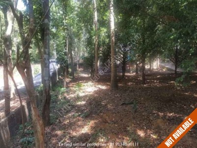 Residential Land for Sale at Elavoor