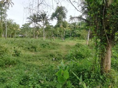 5 Acre Land for Sale at Thevakkal, Ernakulam