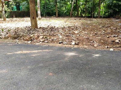 15.5 Cent Good residential square leval Land for Sale at Thavalakuzhy, Eattumanoor