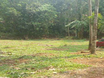 20 Cents of Residential Land for Sale at Kuravilangad - Thottuva, Kottayam.