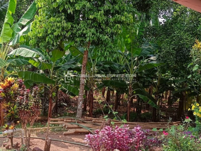 Prime Plots for Sale in Pudukkad, Thrissur