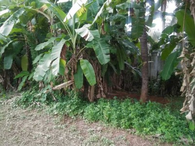 40 Acre Residential Land for Sale at Thrissur