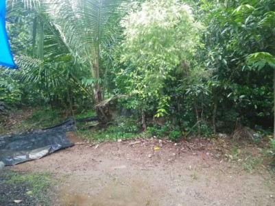 10 Cent Residential Land for Sale at Koratty, Thrissur