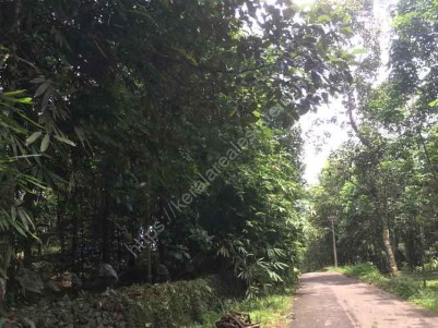 2 Acres of Plots for Sale at East Kaloor, Thodupuzha.