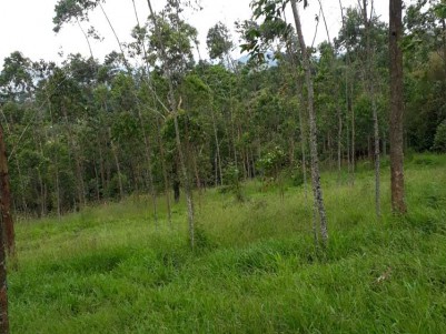 1.5 Acers of Land (Hilltop) for Sale at   Rajakumari, Idukki