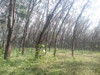 1.25  Acre Land for Sale at Pala, Kottayam