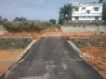 9.50 Cent Residential land for sale at Ammanchery Junction, Kottayam