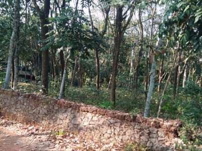 40 Cent Rubber plantation for sale at Adithyapuram, Kottayam