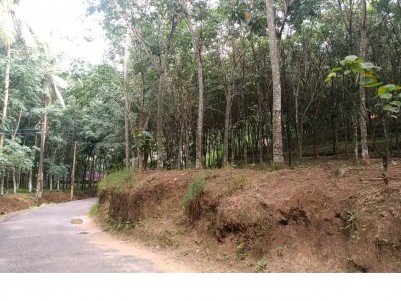 40 Cent Rubber plantation for sale at Nedumagad, Trivandrum