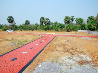 57 Cents of Residential land (Parambu) for sale at Kinassery, Palakkad