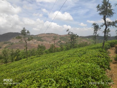 50 Cent Plot for sale at Vagamon with all facilities