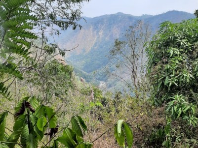 2.5 Acres of Commercial land for sale at Wayanad