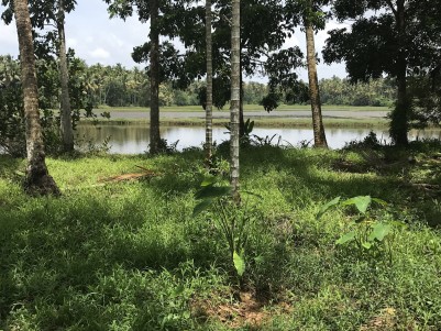 90 Cent Riverside Land For Sale at Mala,Thrissur
