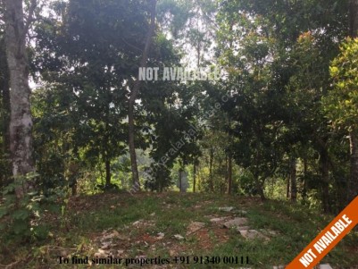 Land For Sale in Munnar