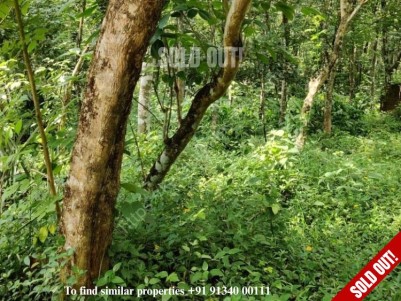 34 Cent of Land for Sale at Kurichy,Kottayam