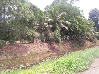  20 acres land with wide area water frontage for sale at Kallara,Kottayam
