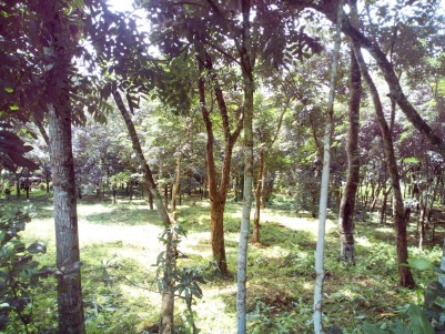 1 Acre Residential land for sale near Meenadam,Kottayam