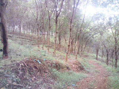 2 Acre Rubber Plantation for sale near Meenadam,Kottayam