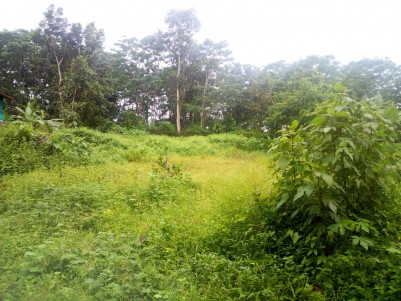 34 cent residential land for sale near Vettathukavala,Kottayam