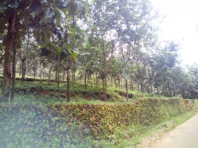 12 Acre Rubber Plantation for sale at Paika,Pala,Kottayam