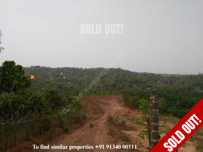 5.3 Acres of Plantation for sale at Manjeswaram,Kasargod