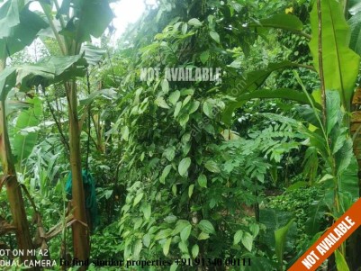 Plantation with Farm House for sale at Thopramkudy,Idukki