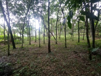 32 Cents of Land for sale at Vettiyar, Mavelikkara, Alappuzha