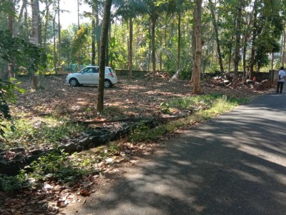 15 Cent Residential Land for sale near Ettumanoor,Kottayam