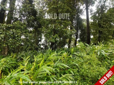 25 Acre cardamom plantation for sale at Munnar,Idukki