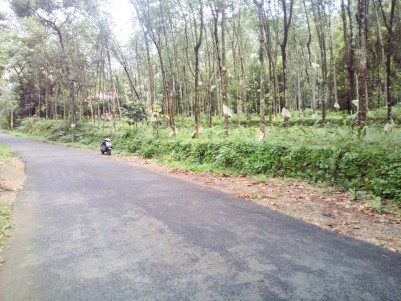 3 Acre Rubber Plantation for sale  Kanjirapally,Kottayam