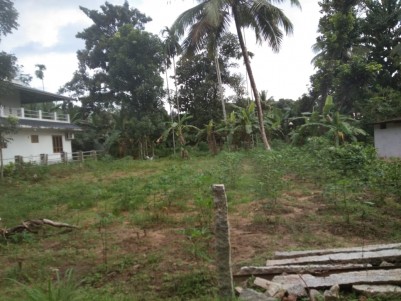Residential Land for sale at Adoor,Pathanamthitta