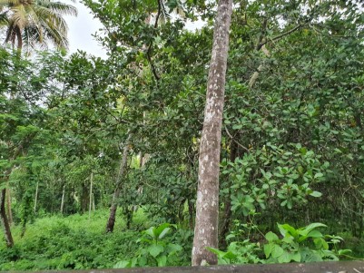 Residential Land for sale at Kattoor,Thrissur