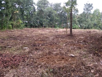 1.42 Acres of Land for Sale at Krariyeli, Perumbavoor, Ernakulam