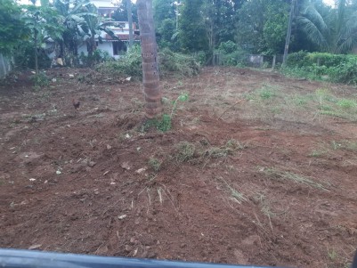 10 Cent of Residential Land  for sale in Chalakudy,Thrissur