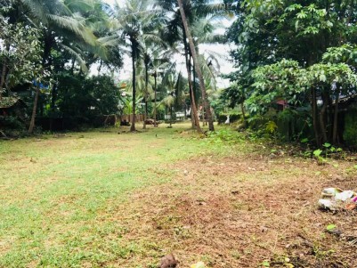 Commercial Land For Rent In Kakkanchery, Chelambra, Kozhikode.