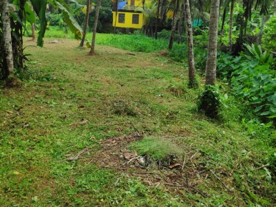 Residential Land For Sale In Mayanad. House Plot For Sale In Kozhikode.