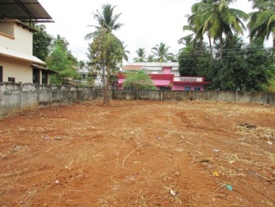 Prime Residential Plot for sale at Kutanellur,Thrissur
