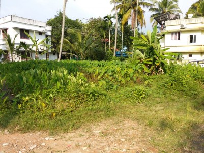 9.5 Cent Residential land for sale at Puthiyakavu, Ernakulam
